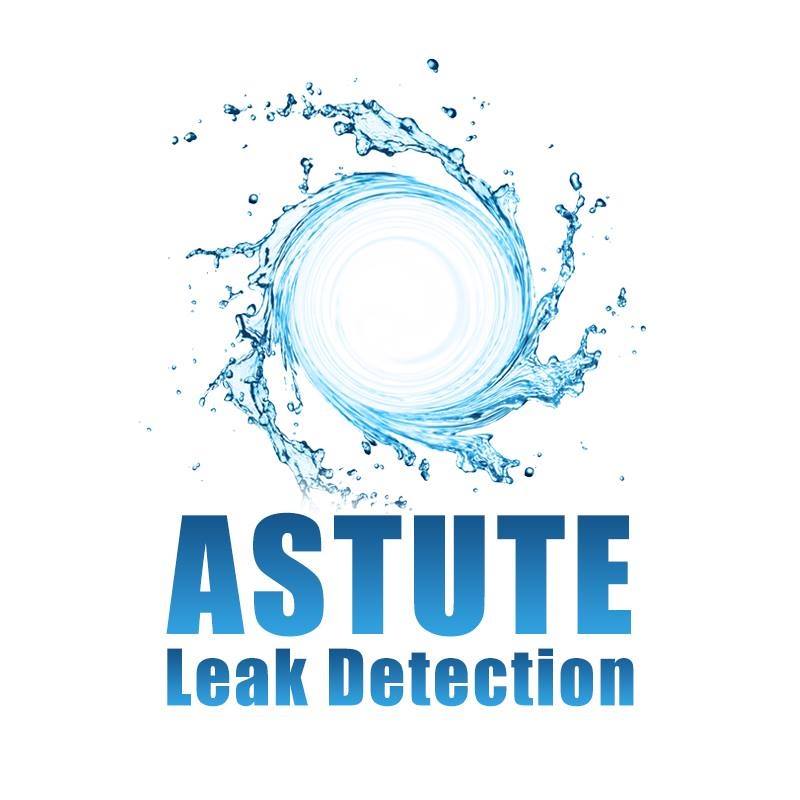 Astute Leak Detection